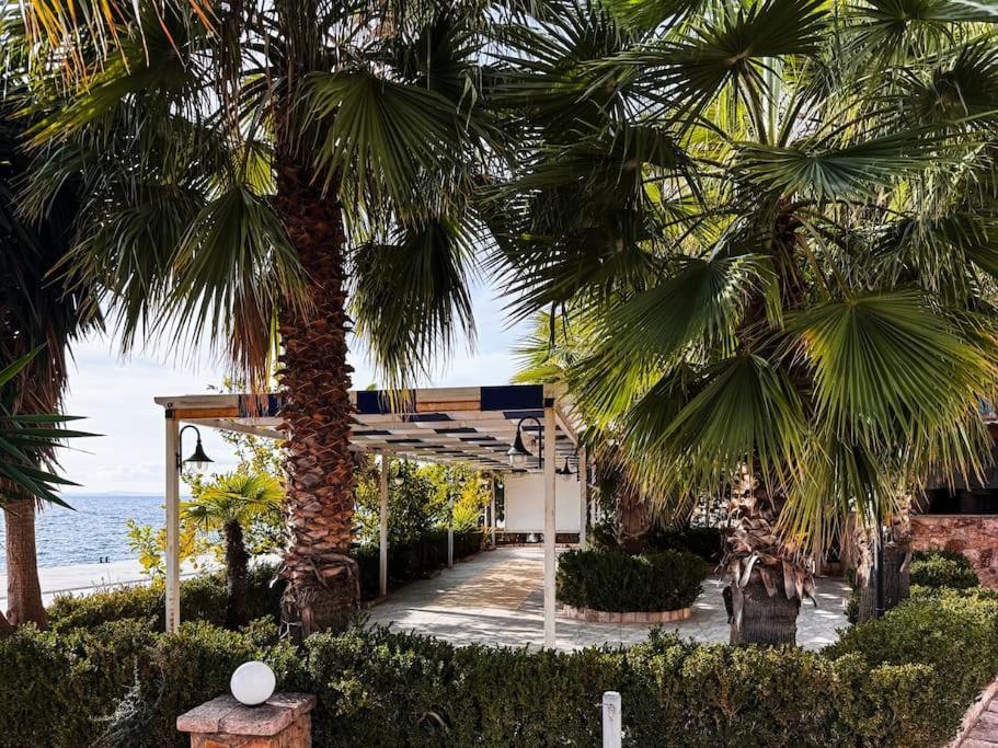 Apartment Ariana Sarandë
